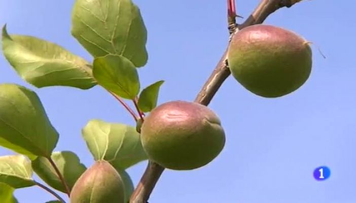 Noticias Aragón - Noticias Aragón - 24/04/15