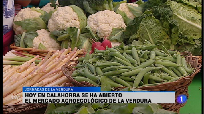 Informativo Telerioja - Informativo Telerioja - 24/04/15