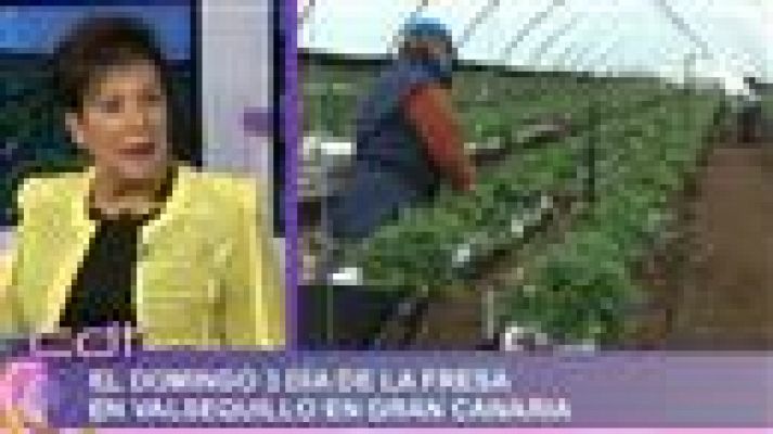 Cerca de ti - Cerca de ti - 24/04/15