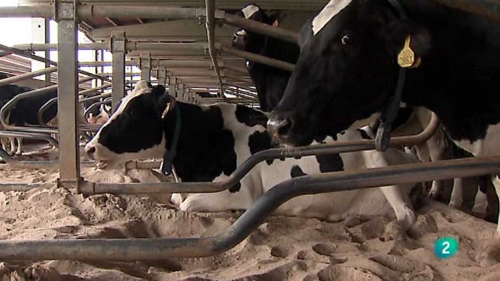 Agrosfera - Agrosfera - 25/04/15