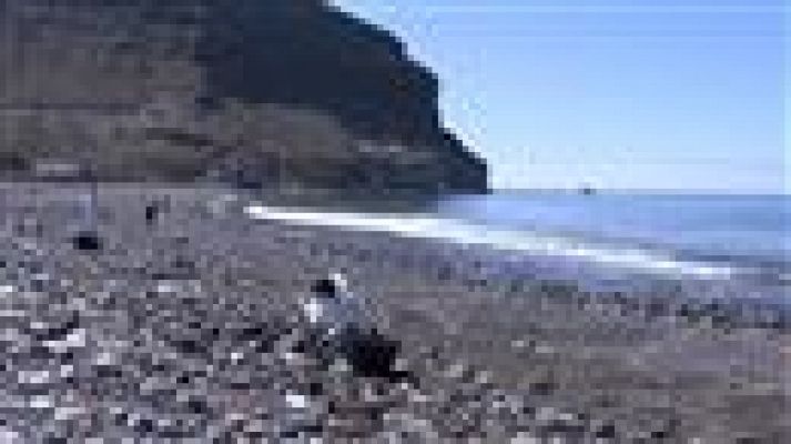 Telecanarias - Telecanarias - 25/04/15