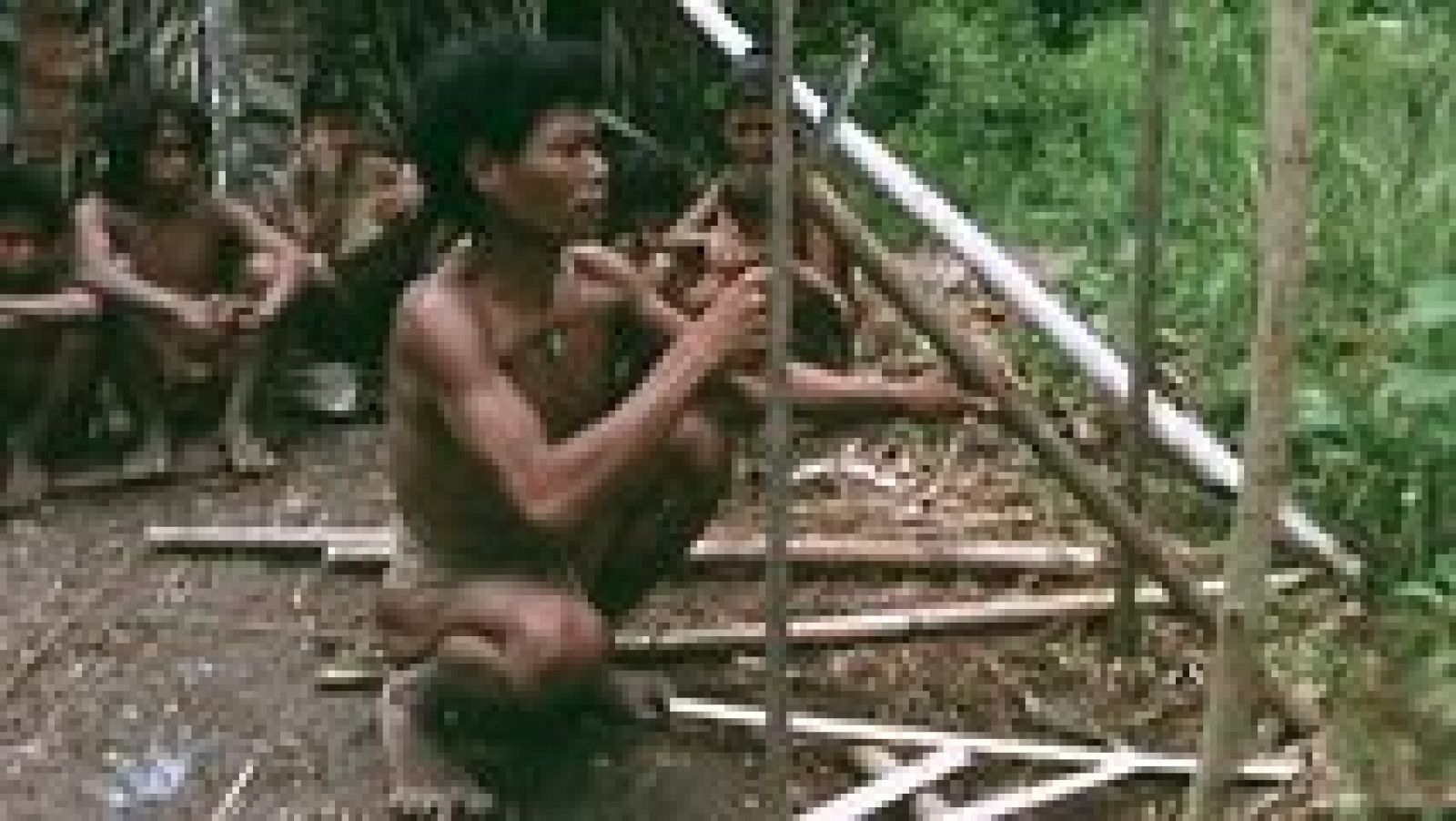 Los últimos indígenas: Palawakos | RTVE Play