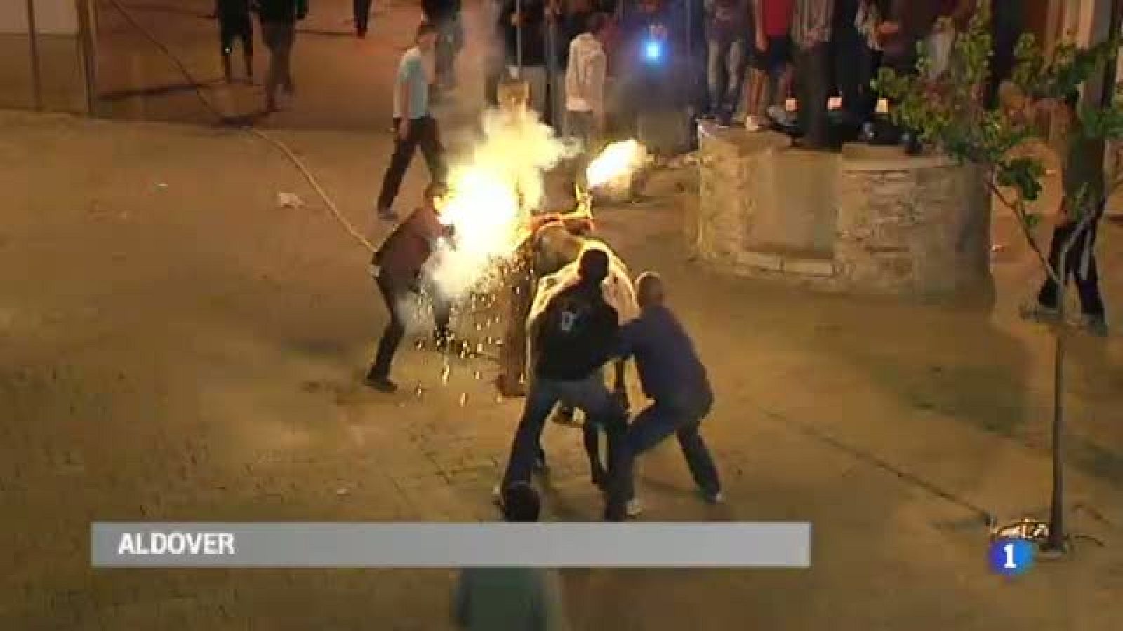 Inici de la temporada de bous a les Terres de l'Ebre