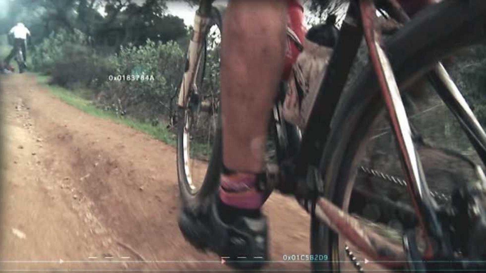 Mountain Bike - MTB Maratón "Guzmán el Bueno" - Ver ahora