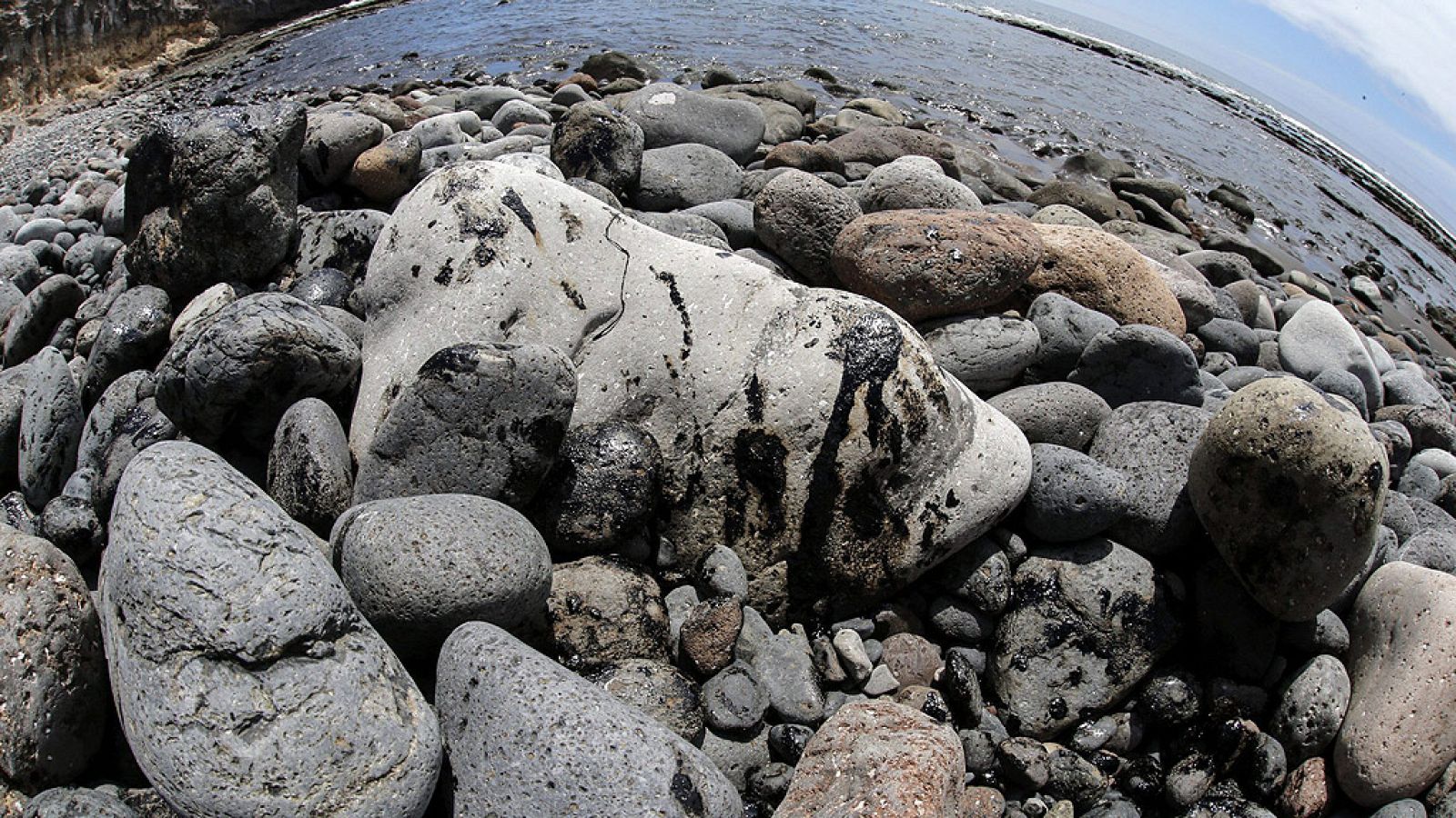 Denuncian a los gestores del incendio del 'Oleg Naydenov' por delito ambiental