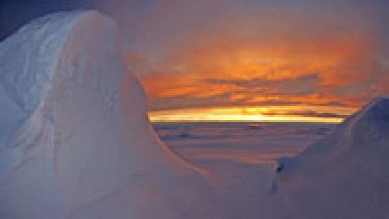 Los efectos del cambio climático se notan cada vez más en el Círculo Polar Ártico