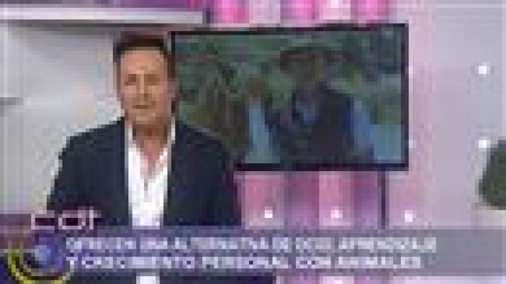 Cerca de ti - Cerca de ti - 29/04/15