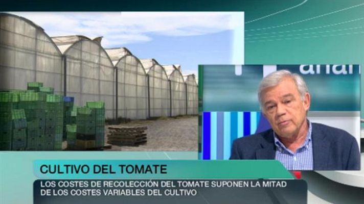 +Canarias - + Canarias - 29/04/15