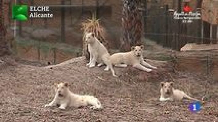 Aquí la Tierra - Aquí la Tierra - 29/04/15