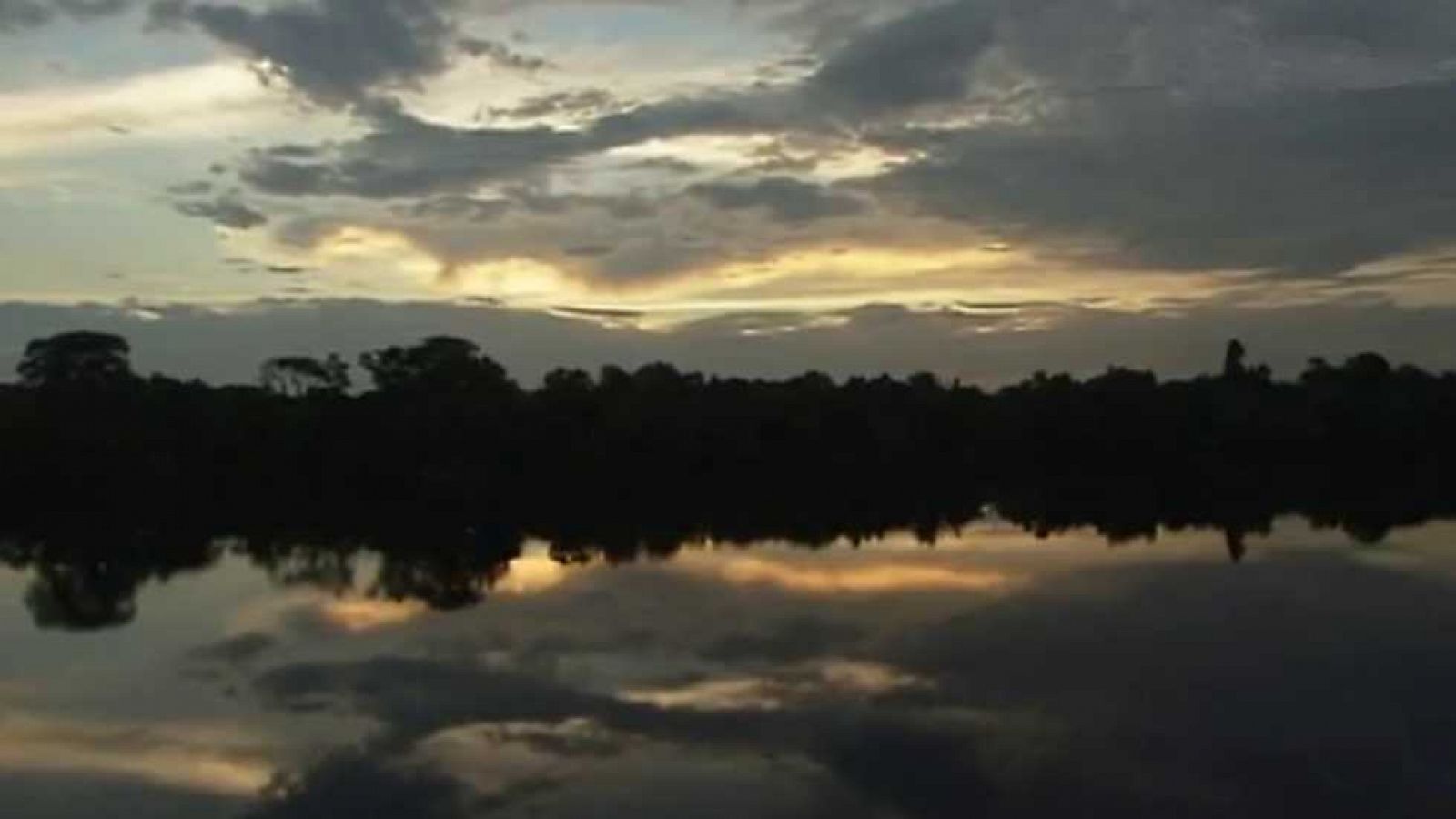 Grandes documentales - Patrimonio de la humanidad: Complejo de conservación de la Amazonía Central