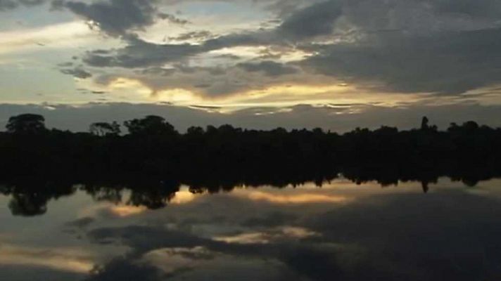 Complejo de conservación de la Amazonía Central