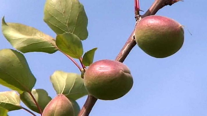 Agrosfera - Agrosfera - 02/05/15