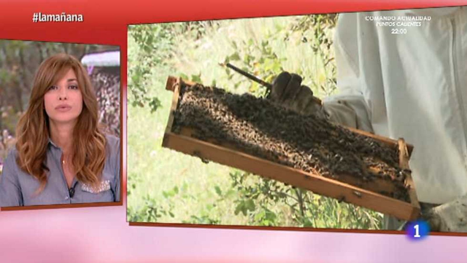 La mañana - Segunda parte - 04/05/15 - Ver ahora