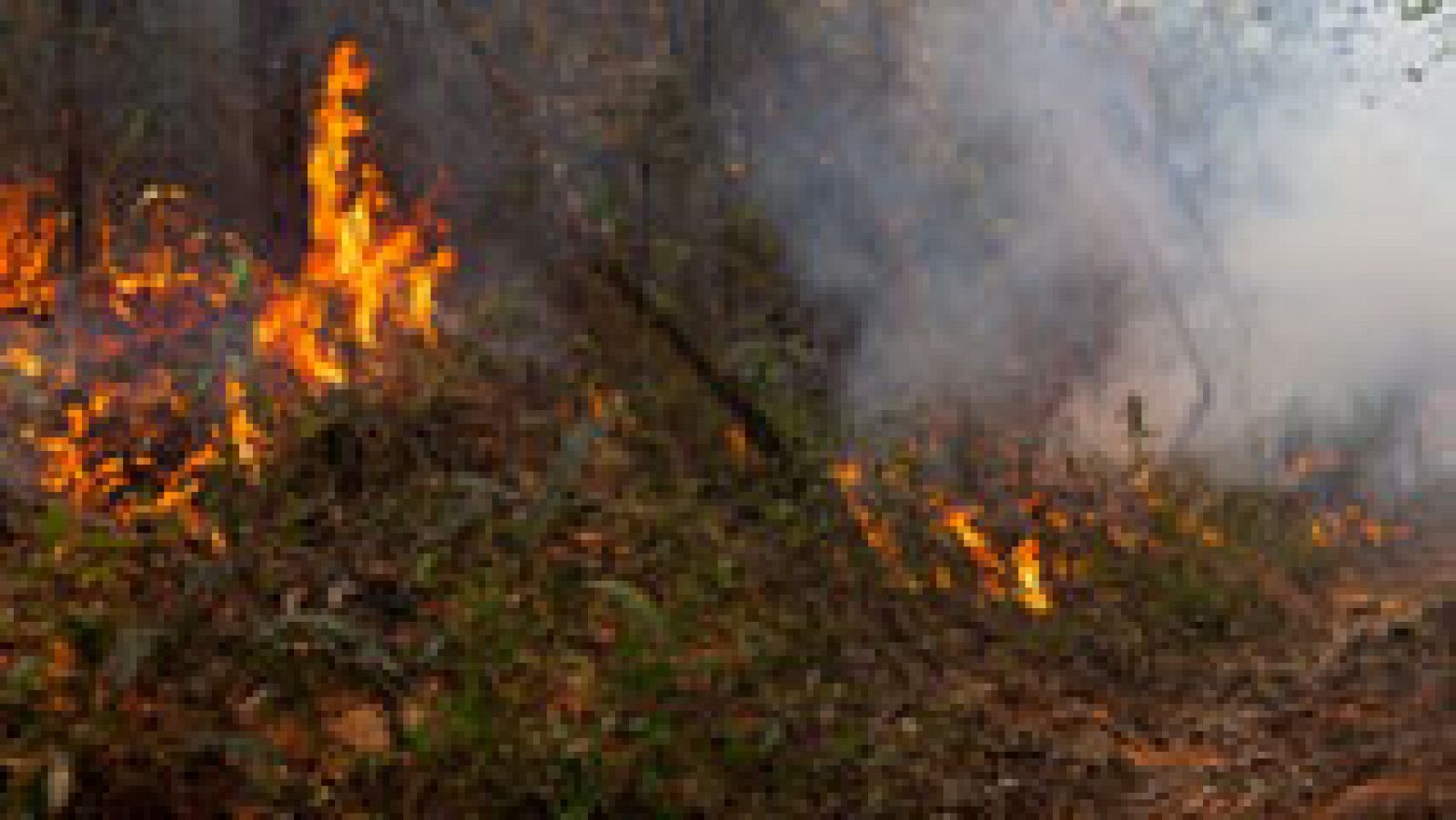 Telediario 1: La tecnología cobra protagonismo en la lucha contra el fuego | RTVE Play