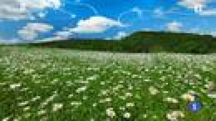 TeleCantabria - El tiempo en Cantabria - 04/05/15