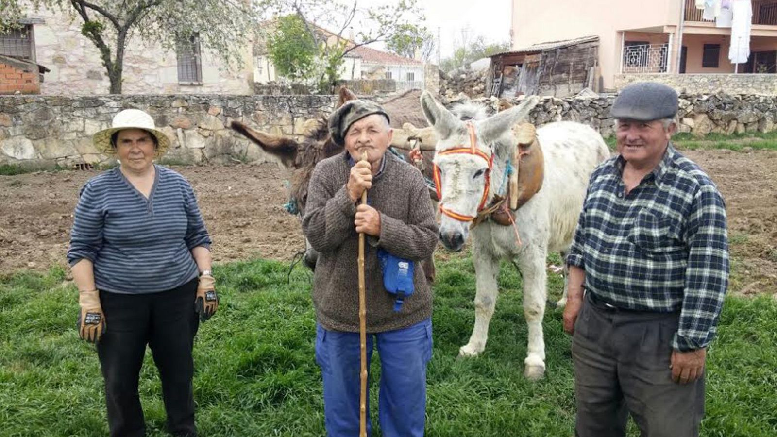 Buena paja para acolchar huertos
