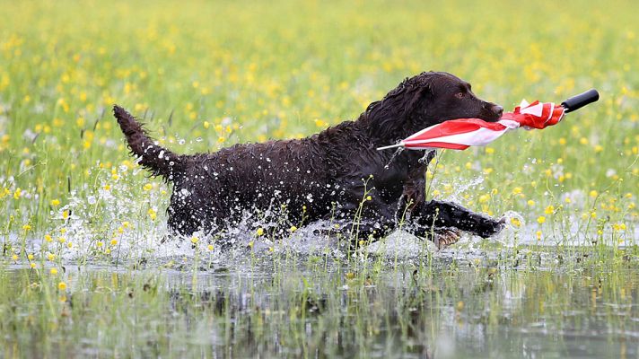 El tiempo - Descenso generalizado temperaturas y lluvias en el norte de la Península