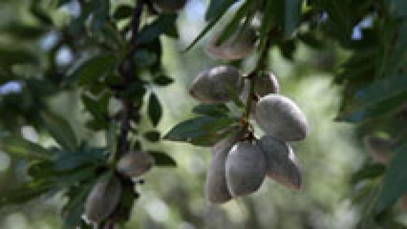 Baja la temperatura en Pirineos, Cantábrico, Mediterráneo y Baleares