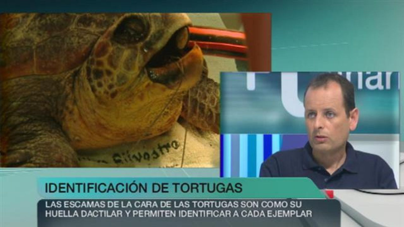 + Canarias - 05/05/15 - +Canarias | Ver