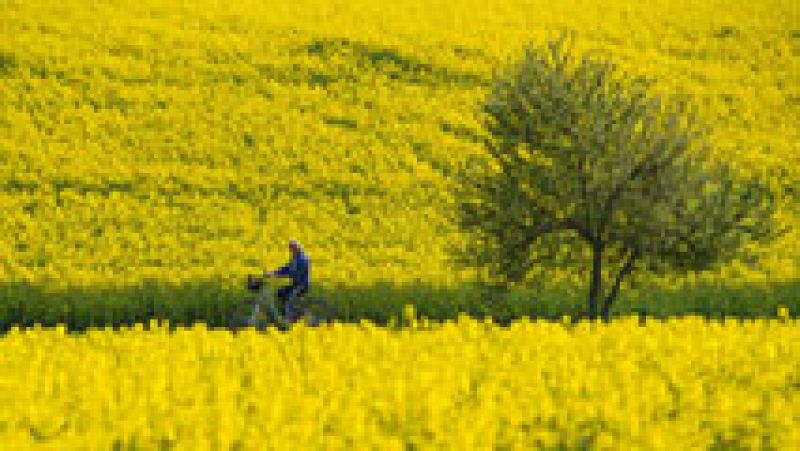 Ascenso localmente notable de las temperaturas diurnas