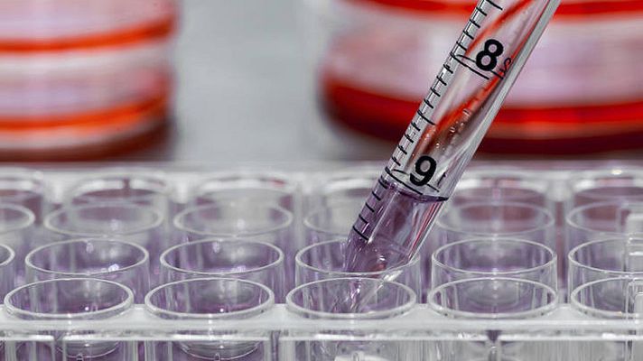 Informativo 24h - Científicos encuentran un tipo de célula madre que abre una nueva vía para generar órganos