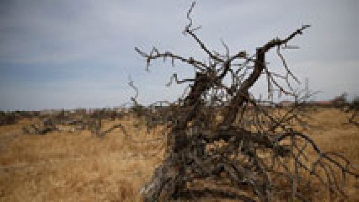 Suben mucho las temperaturas diurnas en el litoral mediterráneo