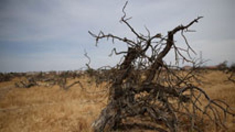 Suben mucho las temperaturas diurnas en el litoral mediterráneo