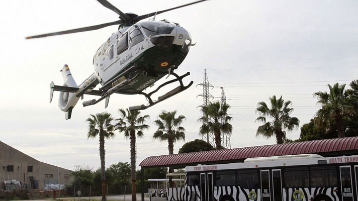 Telediario 1 - Aparece muerto el chimpancé fugado de un zoo en Mallorca