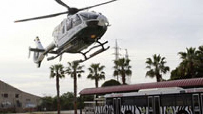 Telediario 1 - Aparece muerto el chimpancé fugado de un zoo en Mallorca