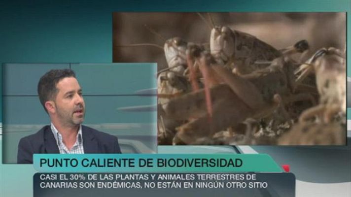 +Canarias - + Canarias - 07/05/15