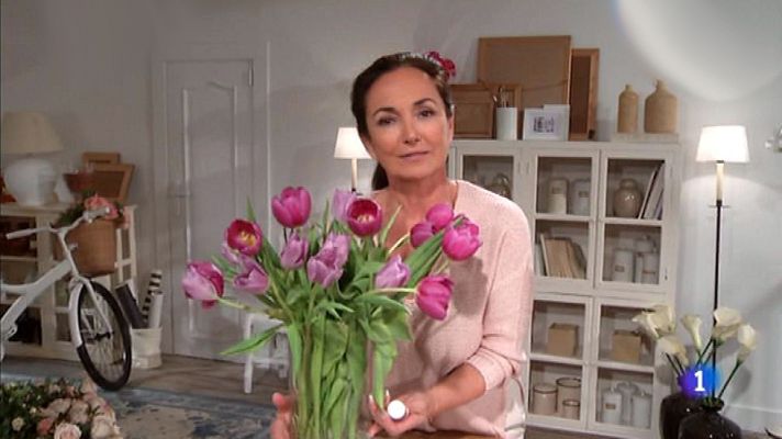 La mañana - Tengo el secreto de la eterna juventud