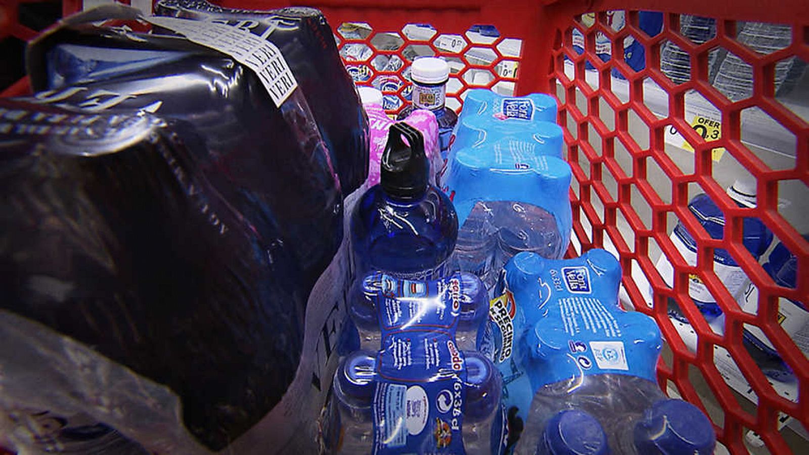 El escarabajo verde - Envases que dejan huella - Ver ahora