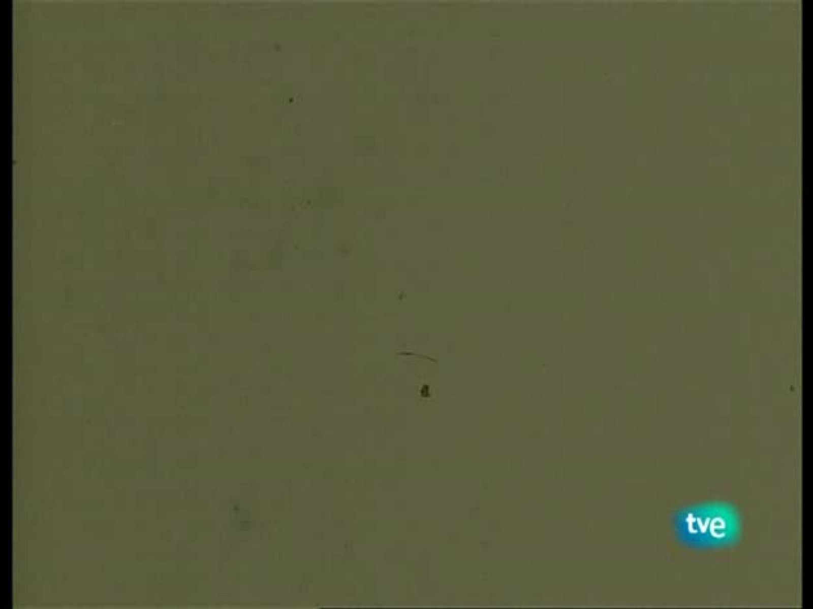 La mandrágora - 11/10/08 - La mandrágora | Ver