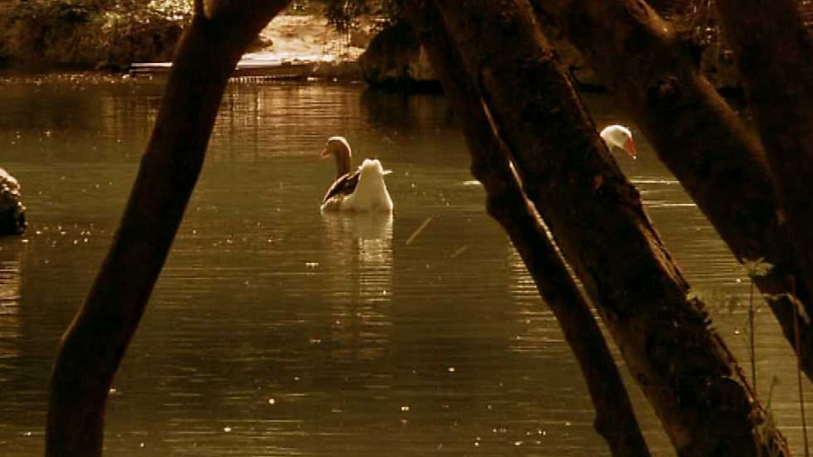 El Canal de Castilla - Capítulo 4 - Ver ahora
