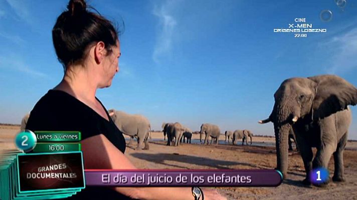 Lo que hay que ver ... - Lo que hay que ver - 10/05/15