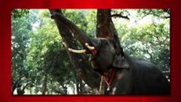 Saber y ganar - Saber y ganar. Edición Fin de semana - 10/05/15