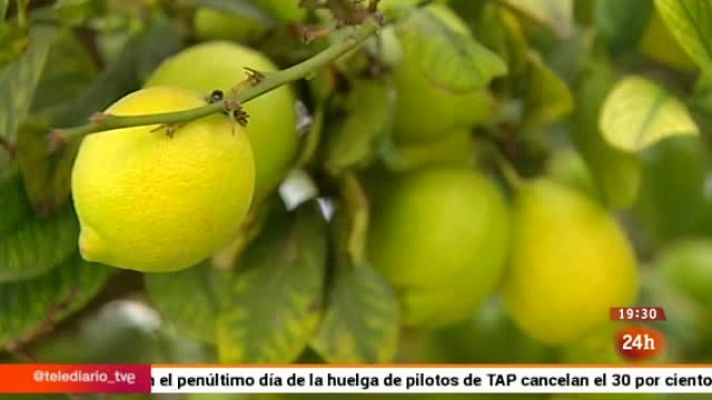 Parlamento - Denominaciones de origen