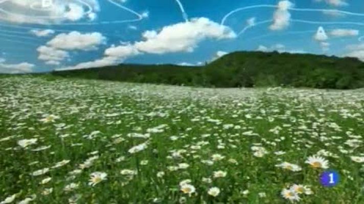 Telenorte - País Vasco - El tiempo en el País Vasco - 12/05/15