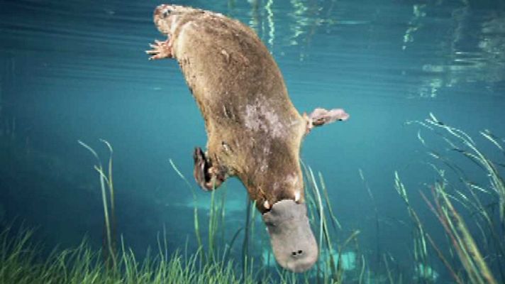 Saber y ganar - Saber y ganar - 12/05/15