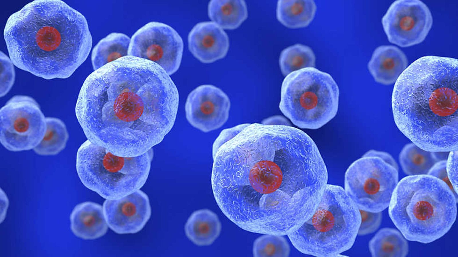 Documenta2 - Universo secreto, viaje al interior de la célula - ver ahora