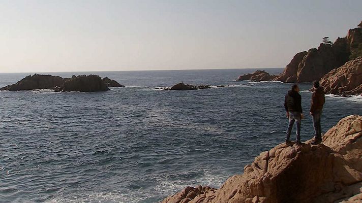 Cocina2 - Costa Brava: el erizo