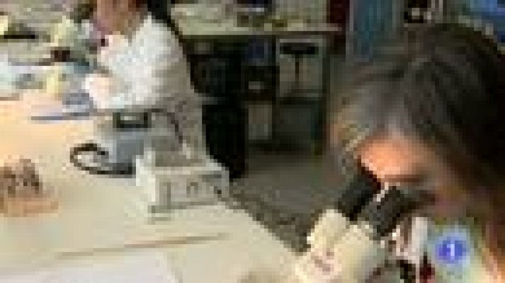 L'Informatiu - Els empresaris puntuen amb 7 les competències dels graduats catalans