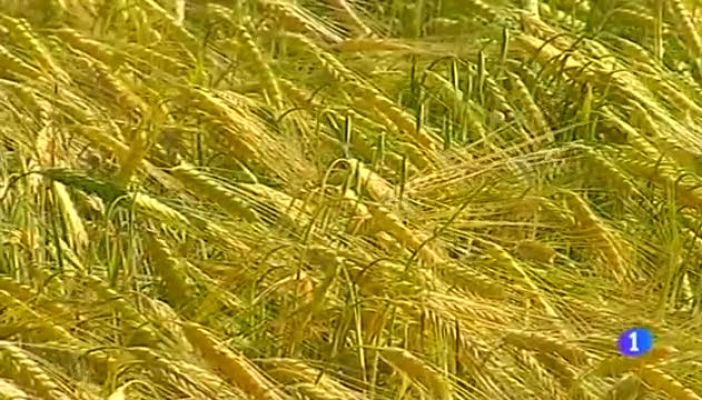 Noticias Aragón - Noticias Aragón - 13/05/15