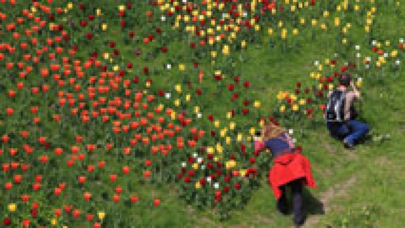 Temperaturas significativamente altas en el área mediterránea, Andalucía y Canarias