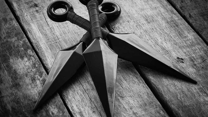 Documenta2 - Ninja, los guerreros de las sombras