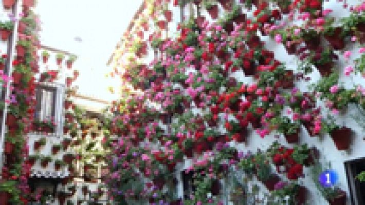 La belleza de los patios de Córdoba