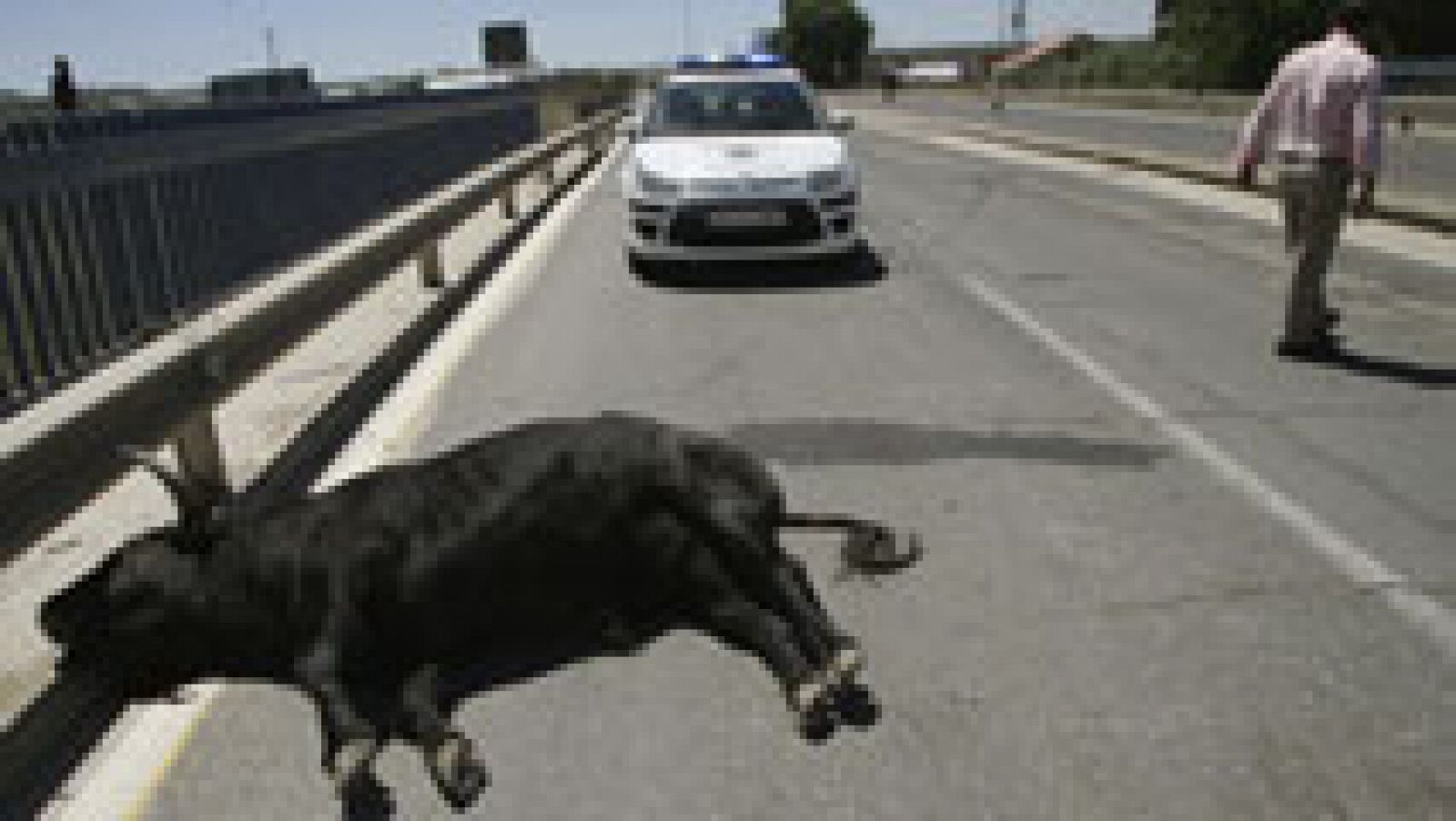 Telediario 1: Un toro se escapa y causa once heridos en Talavera | RTVE Play