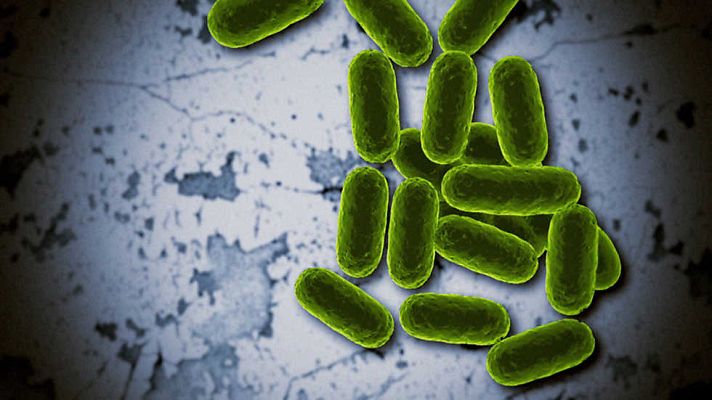 Derrotando a las superbacterias