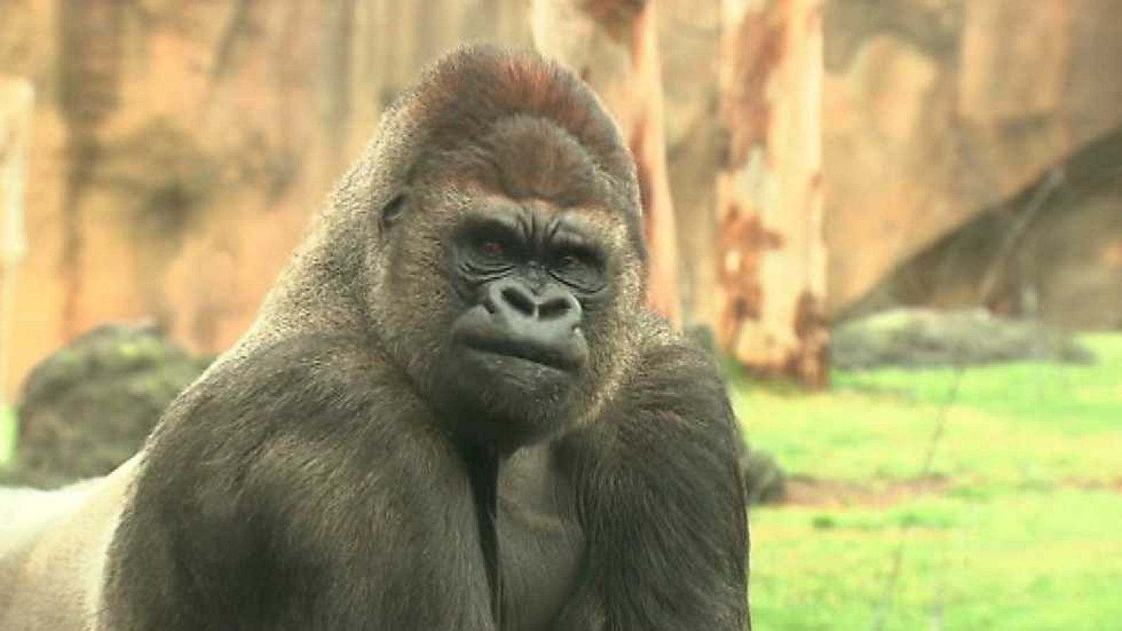 La aventura del saber - 18/05/15 - Ver ahora