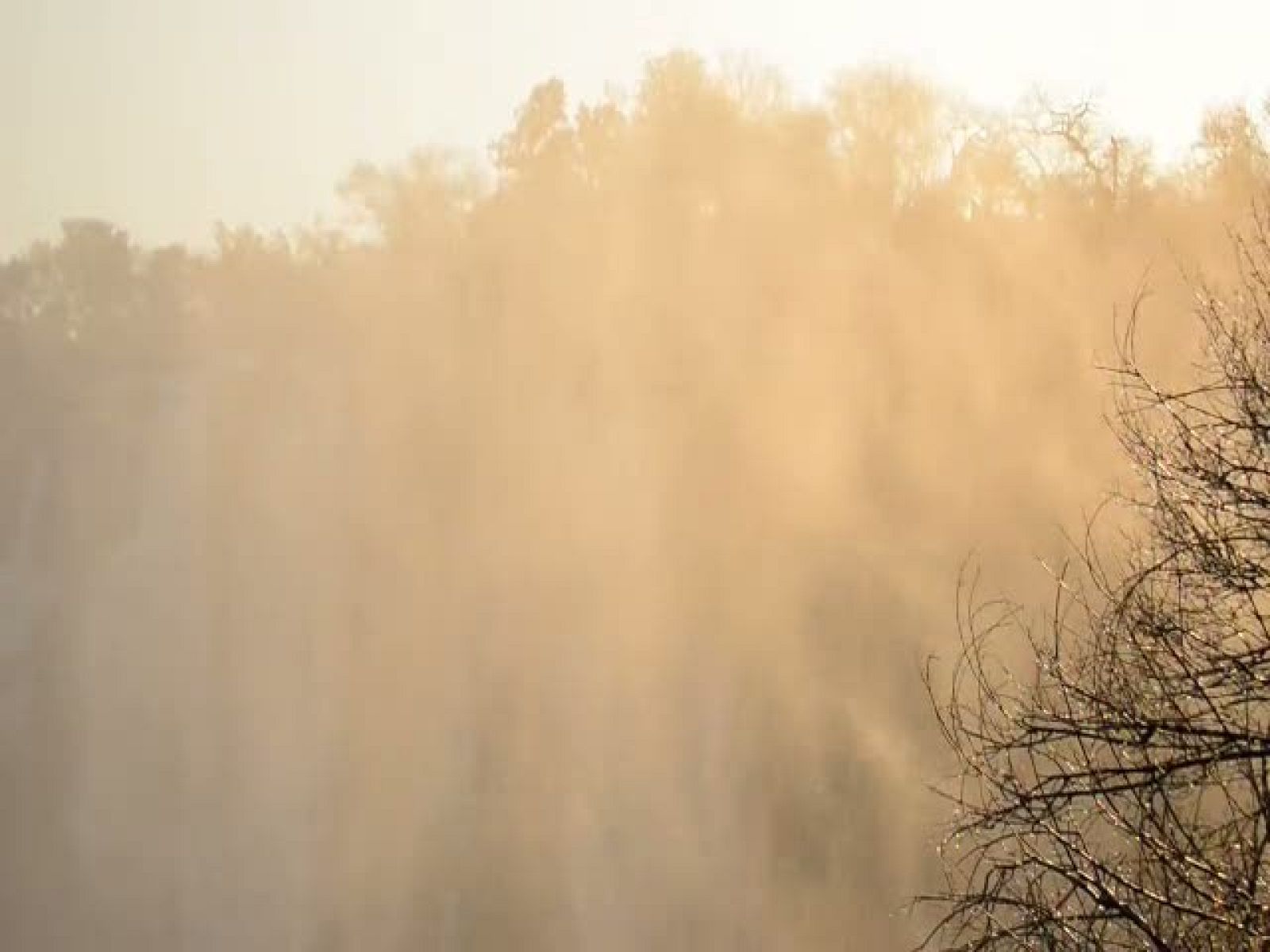 VII Concurso de Cortos RNE - Unidos - Ver ahora